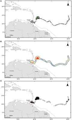 Pre-nesting Movements of Leatherback Sea Turtles, Dermochelys coriacea, in the Western Atlantic